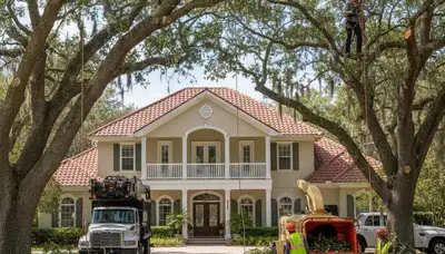 Tree service crew in Andover, MA providing professional tree trimming and removal services